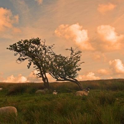 开云·体育(kaiyun)